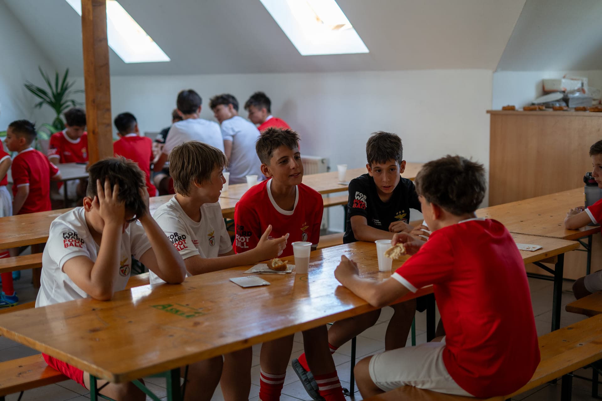 Benfica tábor – Algyő 2026 – 2